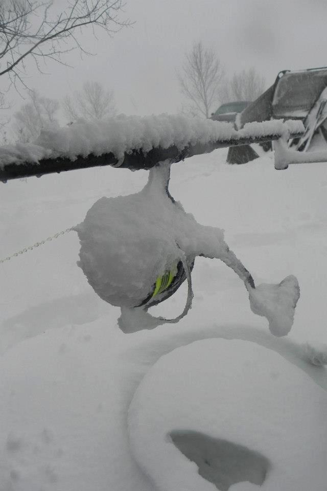 ::::::::- LIKE -:::::: - 542688176007342547579917859786n.jpg